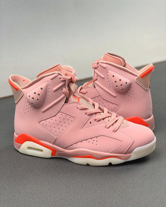 AIR JORDAN 6 RETRO  XALEALI MAY