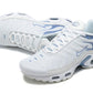 NIKE AIR MAX PLUS BLUE FURY