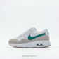 AIR MAX SC BROWN AND WHITE