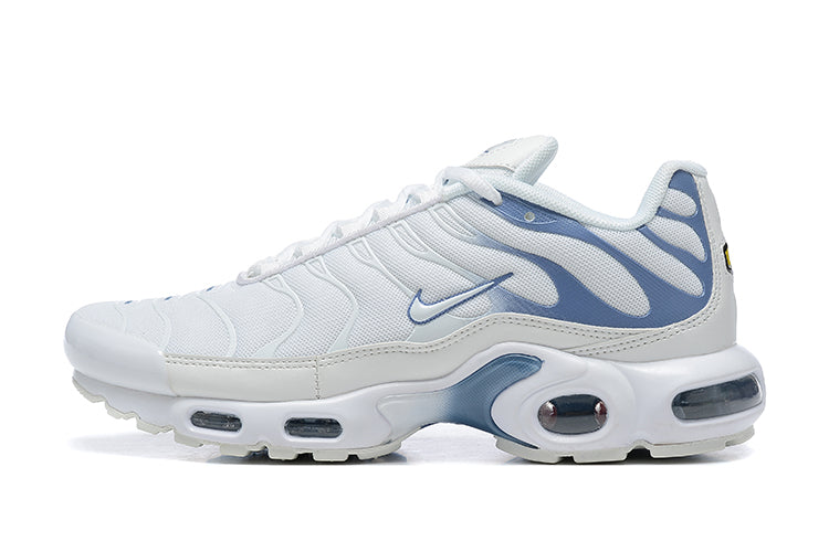 NIKE AIR MAX PLUS BLUE FURY