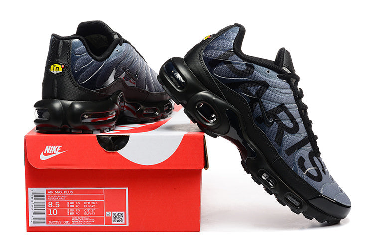 NIKE AIR MAX TN PARIS