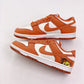 NIKE DUNKS LOW "SUN CLUB"